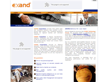 Tablet Screenshot of exand.com